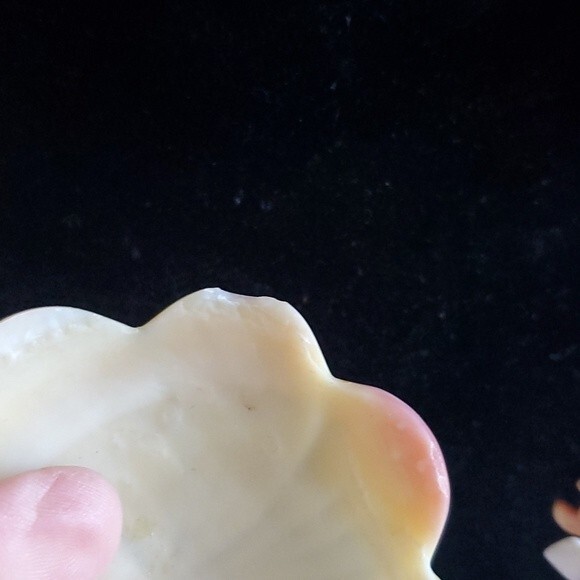 Radiant Mother of Pearl Shell Pendant Necklace - Distinctive Coastal Find - Picture 4 of 7